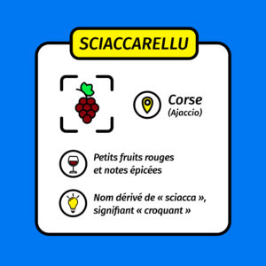 sciaccarellu 2