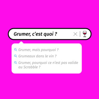 POST_VINSTA_DÉF_GRUMER_1