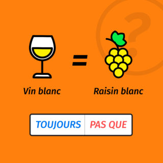 POST_VINSTA_VF_RAISIN_BLANC_V3