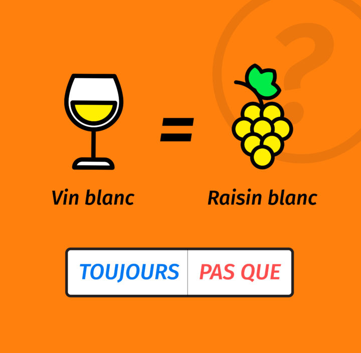 POST_VINSTA_VF_RAISIN_BLANC_V3